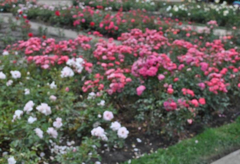 ペンション Pod Starymi Lipami