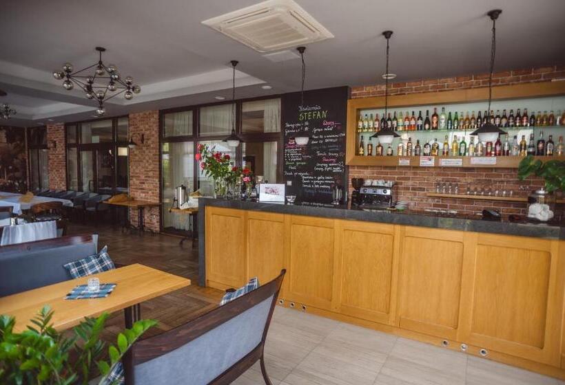 펜션 Sanatorium Stefan