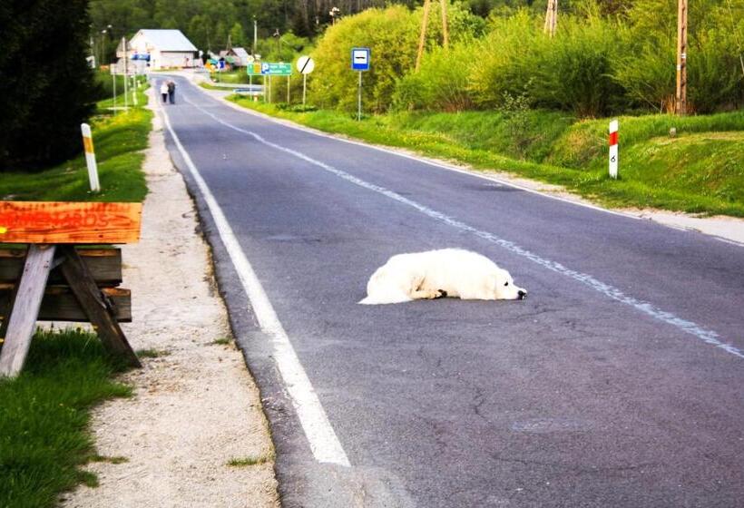 ユースホステル Kremenaros