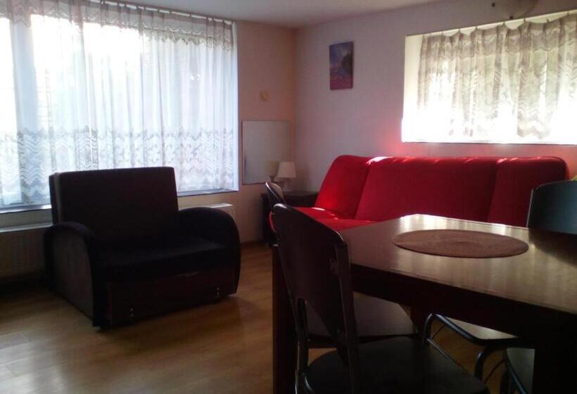 ユースホステル Noclegi Przy Szpitalu