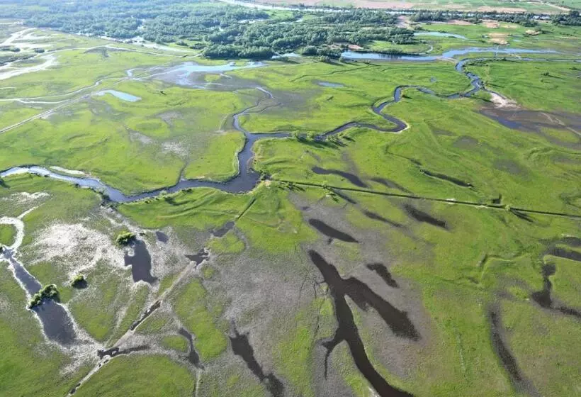 Aamiaismajoitus (B&B) Villa Plena