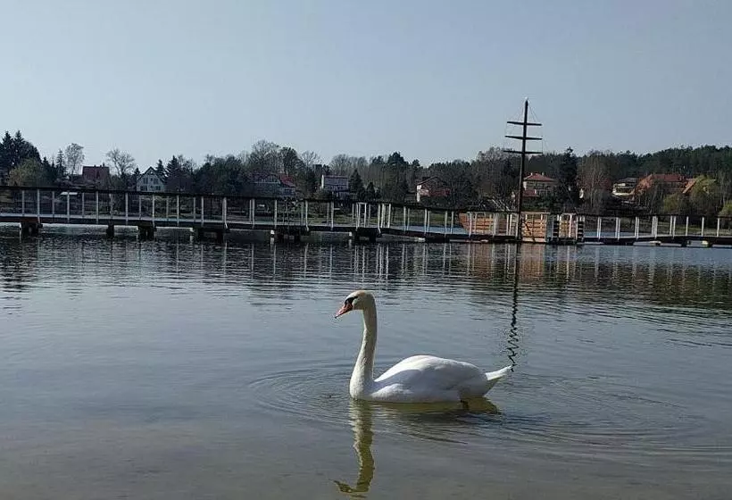 Aamiaismajoitus (B&B) Villa Plena