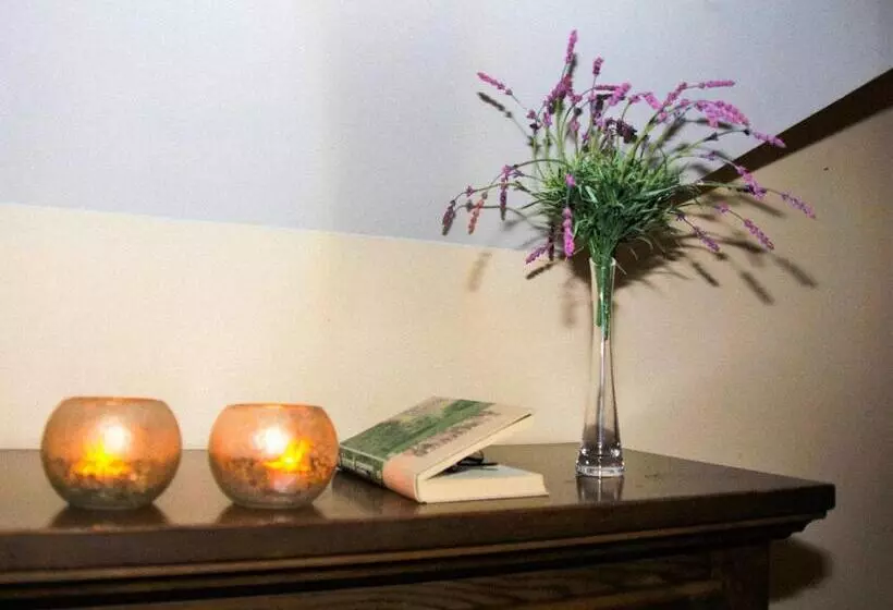 ベッドアンドブレックファースト Willa Kazimiera