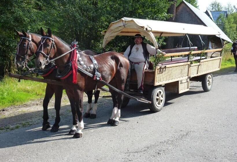 مبيت وإفطار Willa Litka