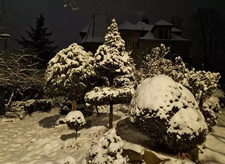 Aamiaismajoitus (B&B) Willa Marysin