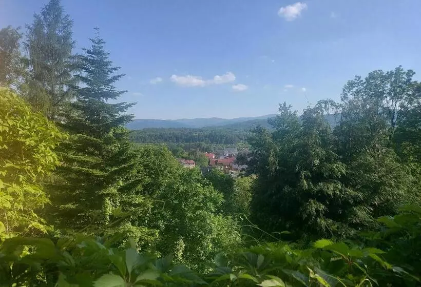 Aamiaismajoitus (B&B) Willa Marysin