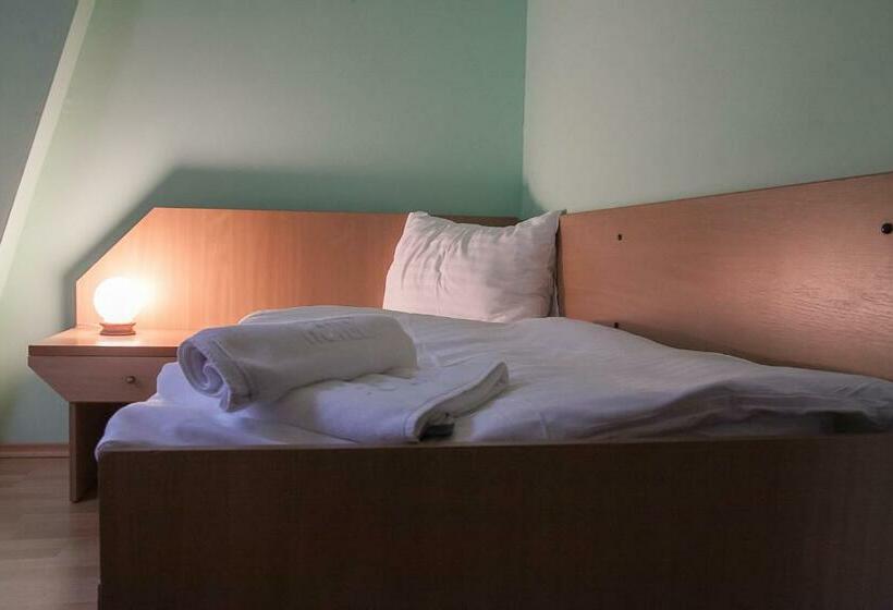 בית מלון כפרי Aeroplan