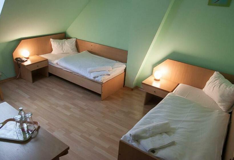 בית מלון כפרי Aeroplan