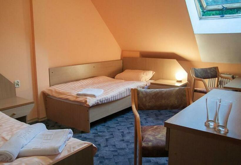 בית מלון כפרי Aeroplan