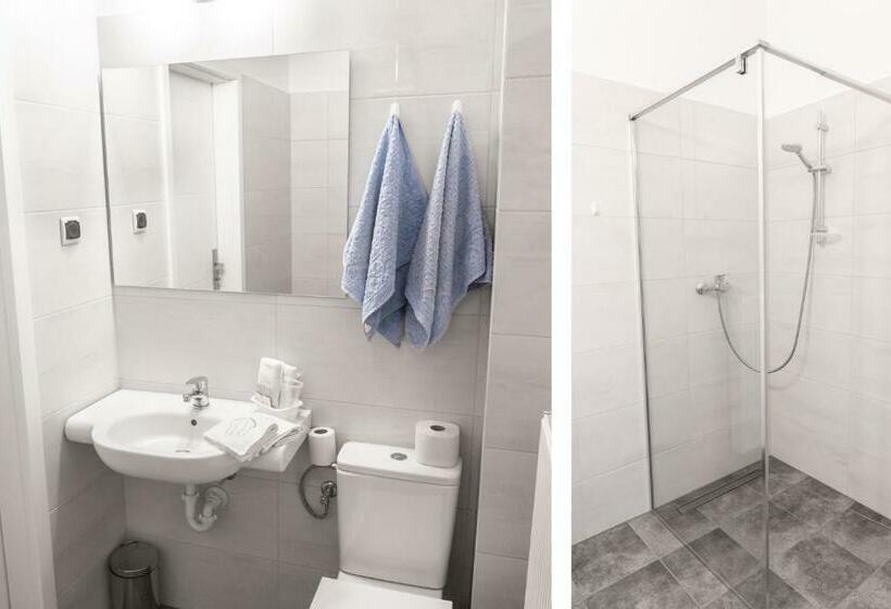 בית מלון כפרי Beskid