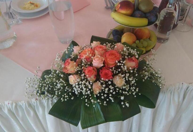 בית מלון כפרי Odr