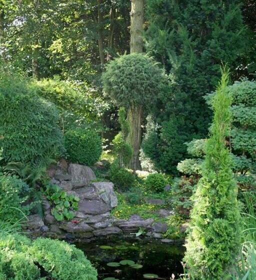 בית מלון כפרי Odr