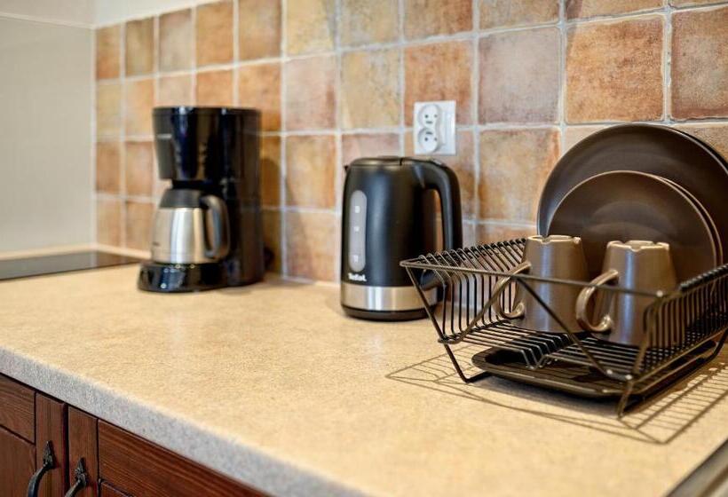 Pensiune Chata Rybacka Saule