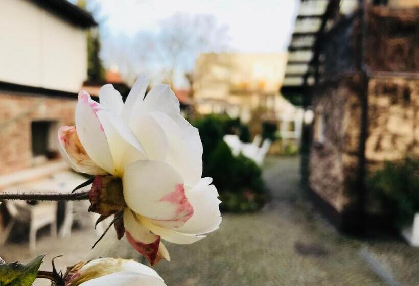 펜션 Villa Pod Orzechem W Zaniemyślu