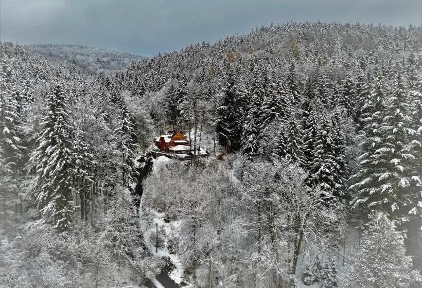 Pensjonat Alpejski Dwór
