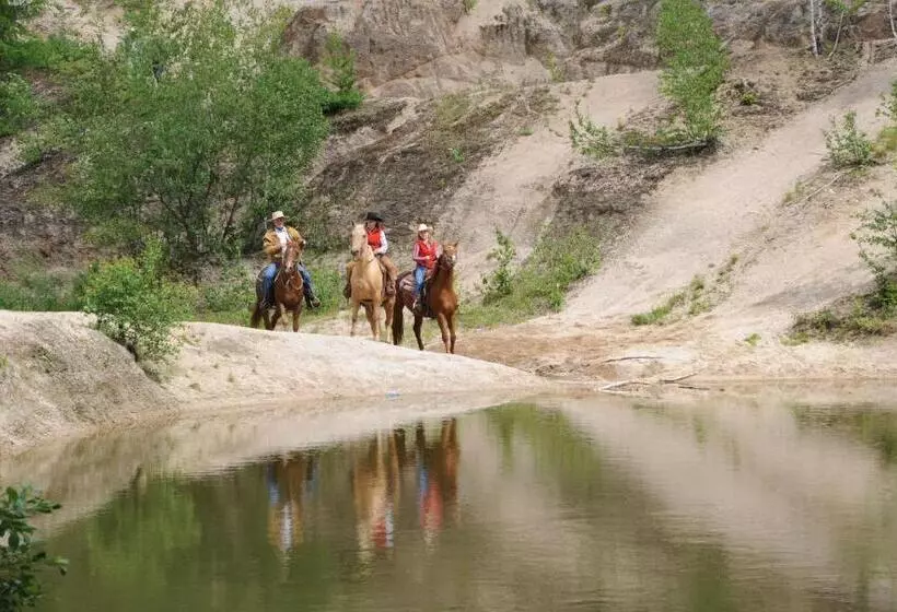 Pensjonat Palomino