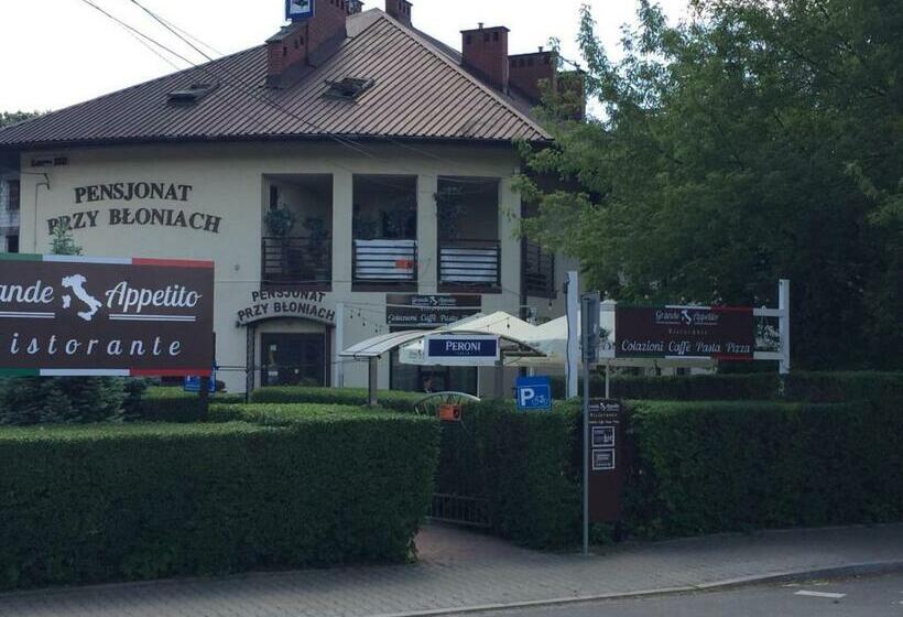 Pensjonat Przy Błoniach