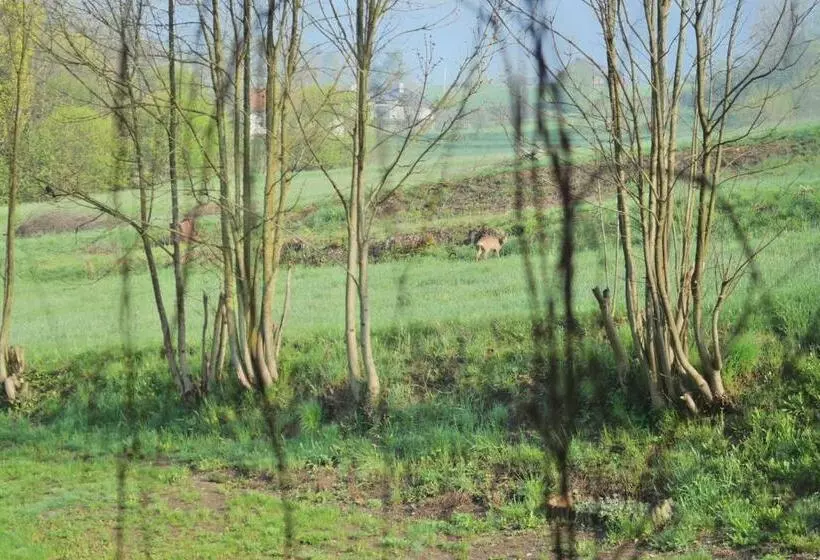 Pensjonat Rehabilitacyjno Rekreacyjny Zagórzanka