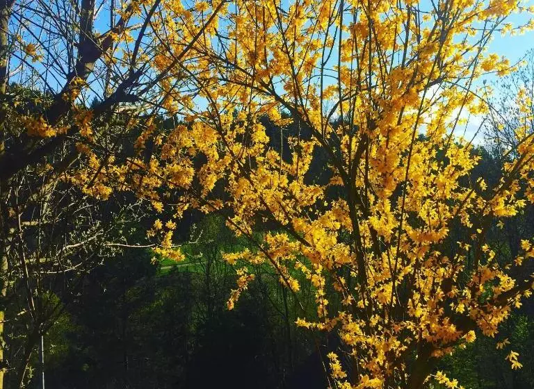 Pensjonat Rehabilitacyjno Rekreacyjny Zagórzanka