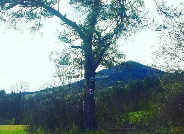 Pensjonat Rehabilitacyjno Rekreacyjny Zagórzanka