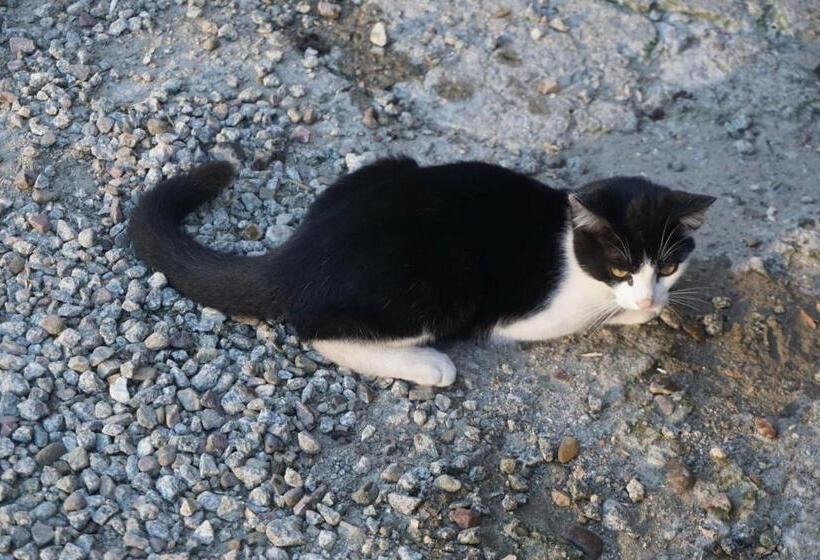 צימר Agroturystyka U Czepiela