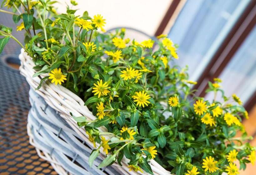 Bed and Breakfast Savona świnoujście