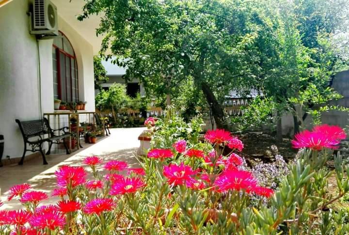 Bed and Breakfast Beb Villa Dora