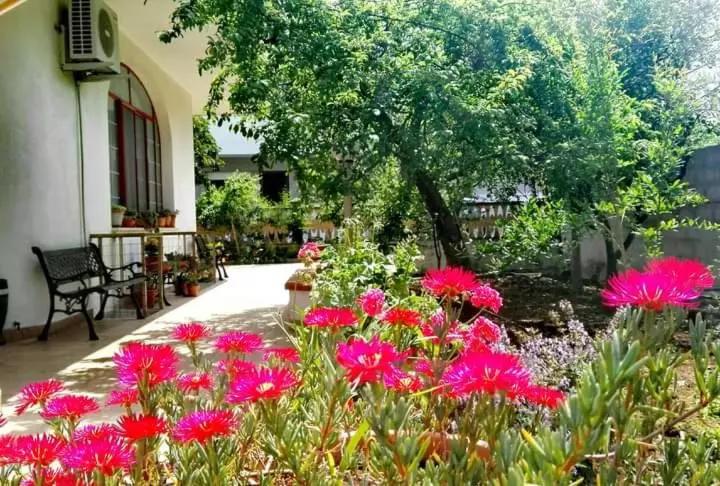 Bed and Breakfast Beb Villa Dora