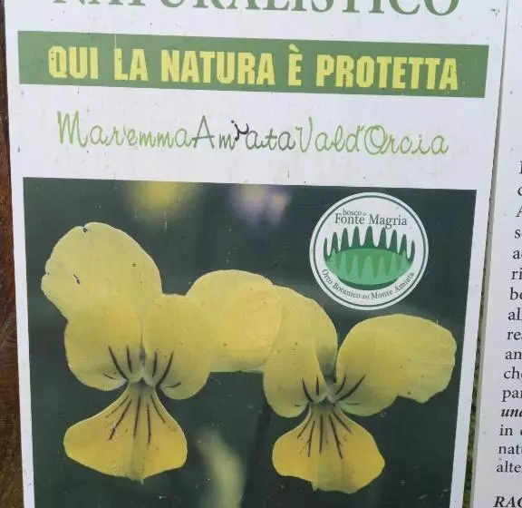 ホテル Agriturismo Fonte Magria