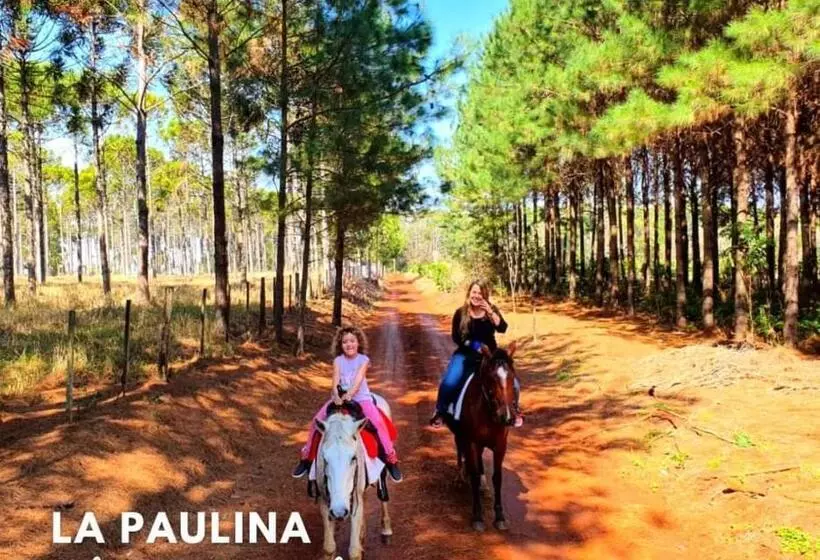 ペンション Estancia La Paulina