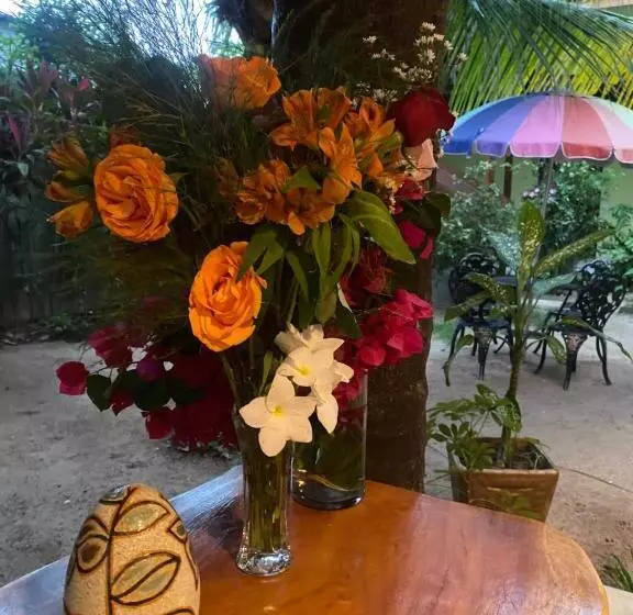 ホテル Pousada águas De Tamandaré