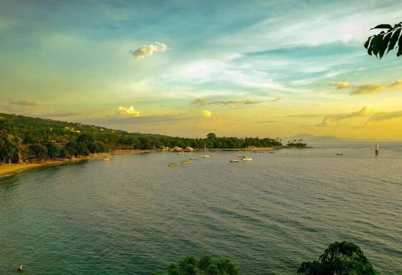 The Ellen Hotel By Ecommerceloka