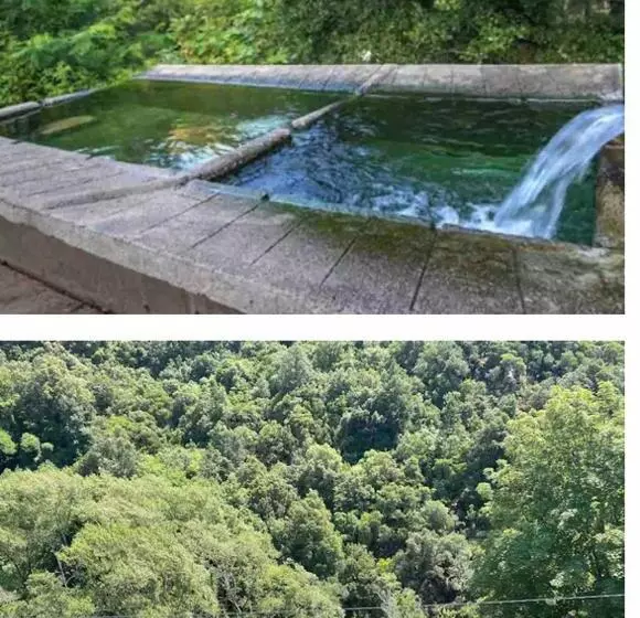 Aamiaismajoitus (B&B) Chambre Avec Balcon à Louer