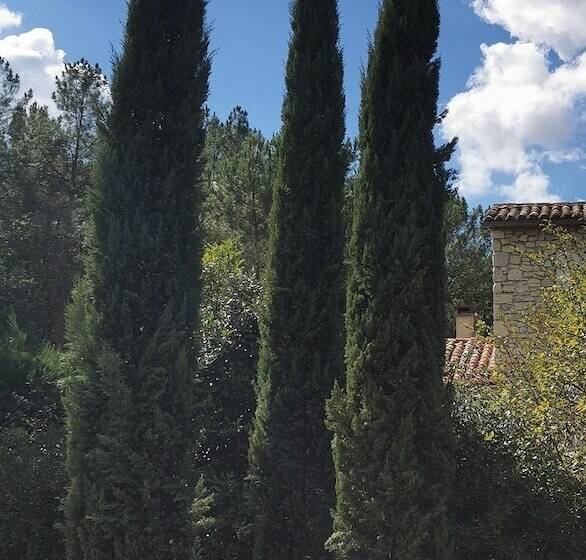 민박 Domaine Des 3 Cyprès Chez Nath & Pat