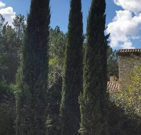 ベッドアンドブレックファースト Domaine Des 3 Cyprès Chez Nath & Pat