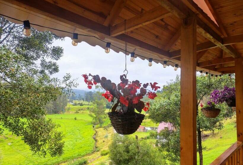 فندق Cabañas Santo Tomas