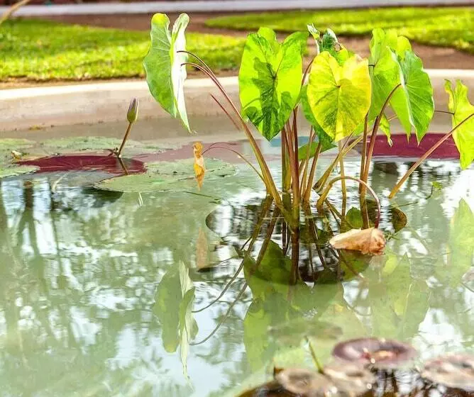 Hotelli La Parcela Cunkal