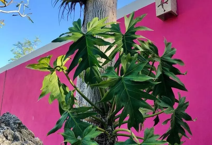 Hotelli La Parcela Cunkal