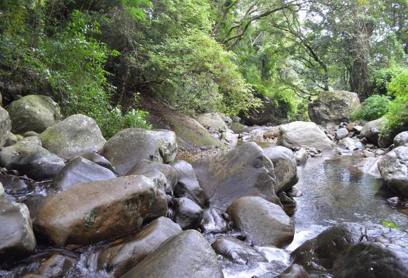 בית מלון כפרי The Lodge At Galapitiyaya Estate