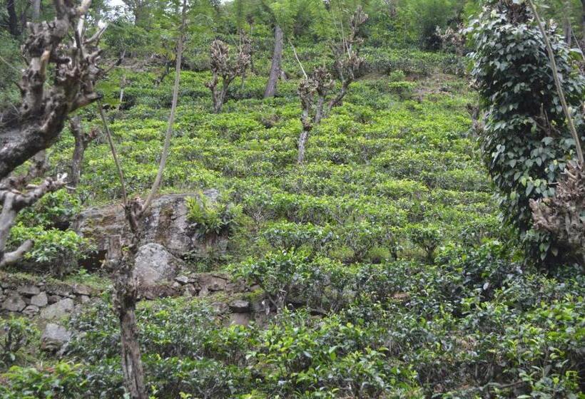 בית מלון כפרי The Lodge At Galapitiyaya Estate