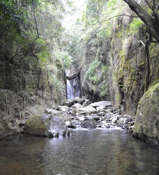 בית מלון כפרי The Lodge At Galapitiyaya Estate