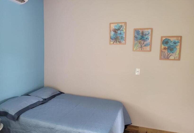 호스텔 Pousada Chacara Entre Nós