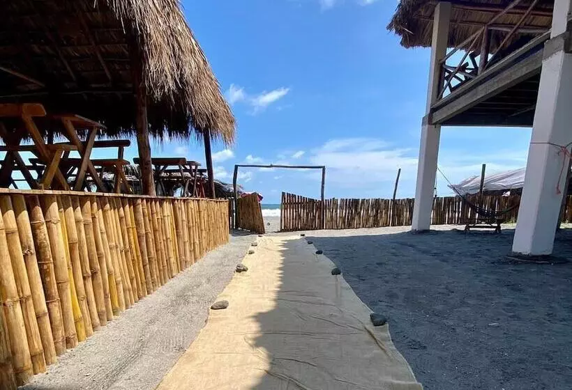 Hotelli Paseo Del Sol