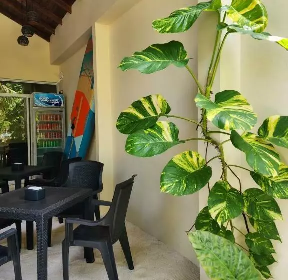پانسیون Dhigurah Dhonveli Boutique
