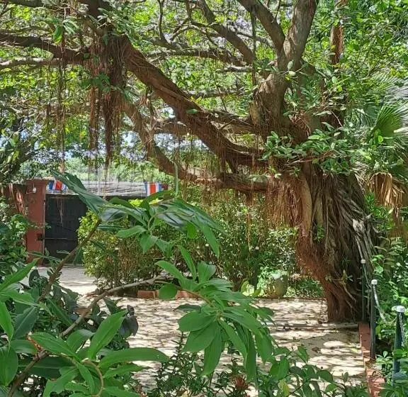 Aamiaismajoitus (B&B) Casa Mapache