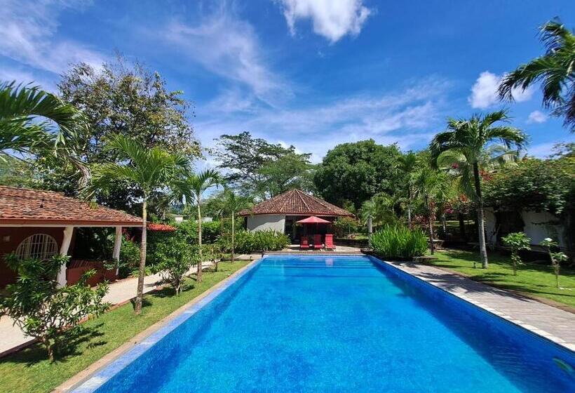 مبيت وإفطار Casa Mapache