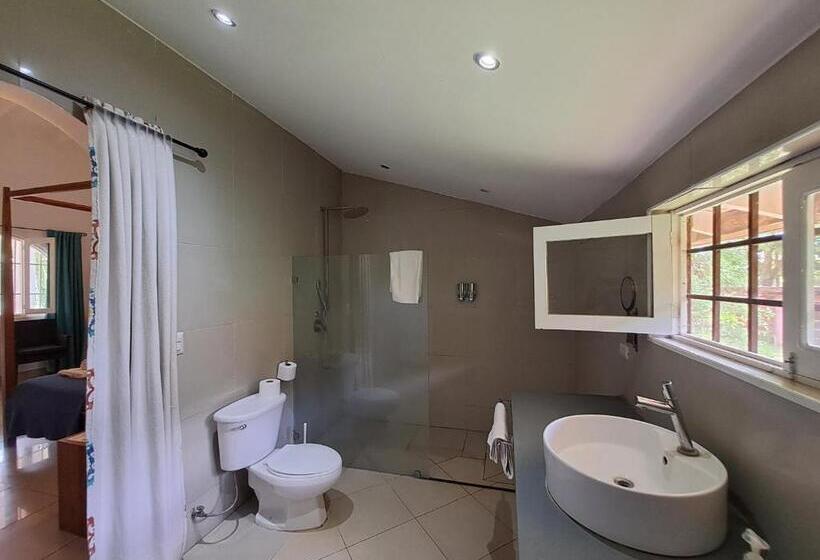 مبيت وإفطار Casa Mapache