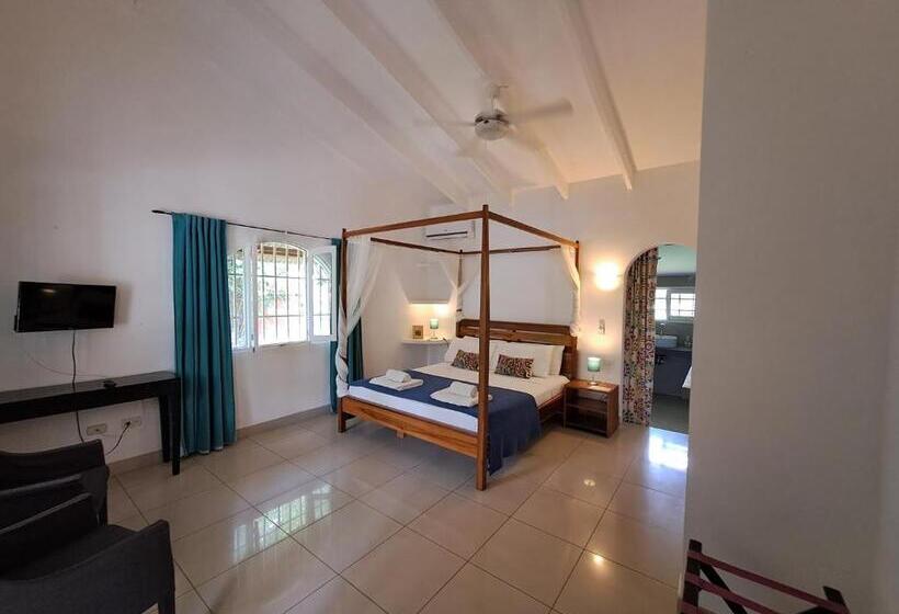 مبيت وإفطار Casa Mapache