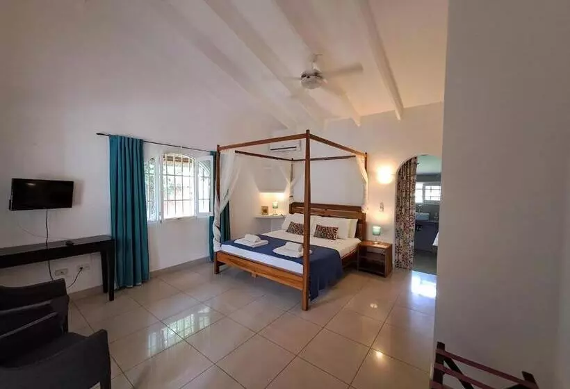 Aamiaismajoitus (B&B) Casa Mapache