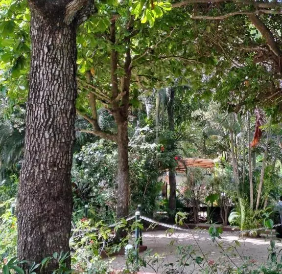 Aamiaismajoitus (B&B) Casa Mapache